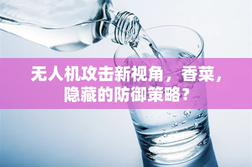 无人机攻击新视角，香菜，隐藏的防御策略？