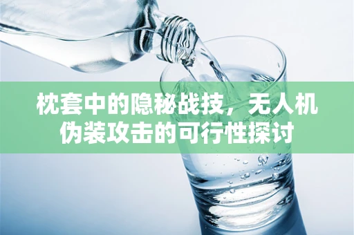 枕套中的隐秘战技，无人机伪装攻击的可行性探讨