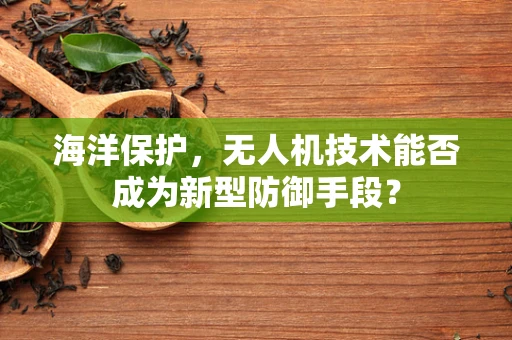 海洋保护，无人机技术能否成为新型防御手段？