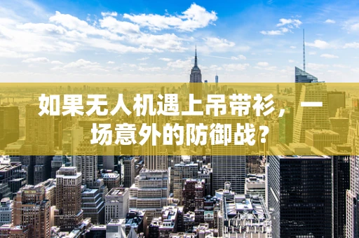 如果无人机遇上吊带衫，一场意外的防御战？