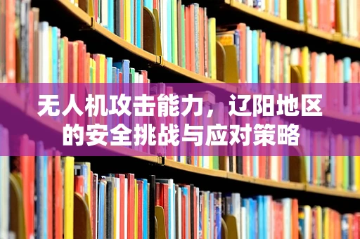 无人机攻击能力，辽阳地区的安全挑战与应对策略