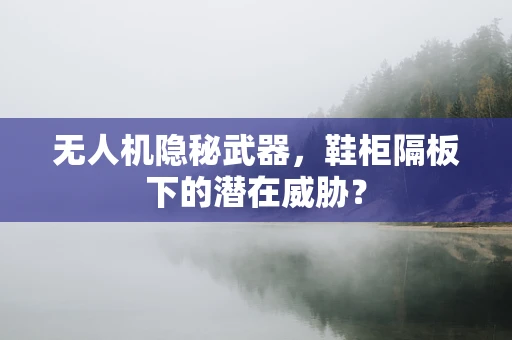 无人机隐秘武器，鞋柜隔板下的潜在威胁？