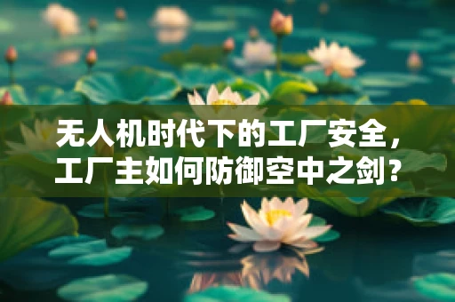 无人机时代下的工厂安全，工厂主如何防御空中之剑？