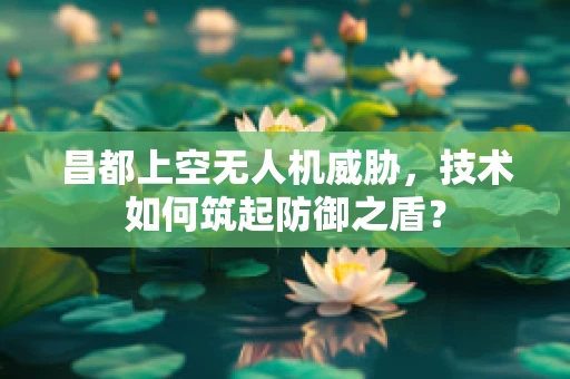 昌都上空无人机威胁，技术如何筑起防御之盾？