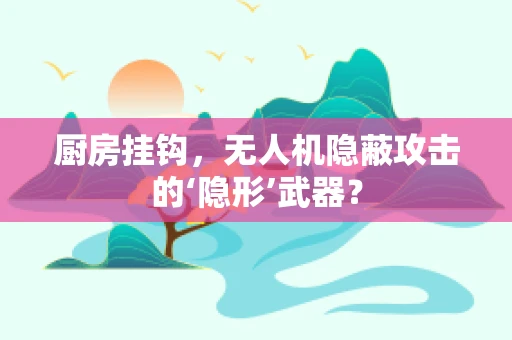 厨房挂钩，无人机隐蔽攻击的‘隐形’武器？