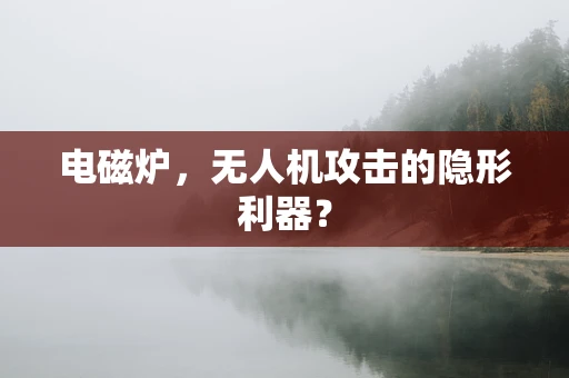 电磁炉，无人机攻击的隐形利器？