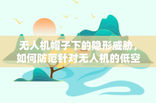 无人机帽子下的隐形威胁，如何防范针对无人机的低空伪装攻击？