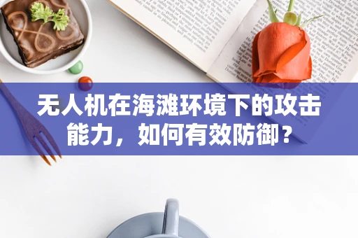 无人机在海滩环境下的攻击能力，如何有效防御？