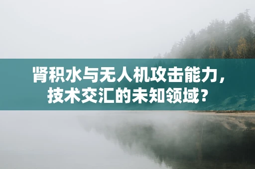 肾积水与无人机攻击能力，技术交汇的未知领域？