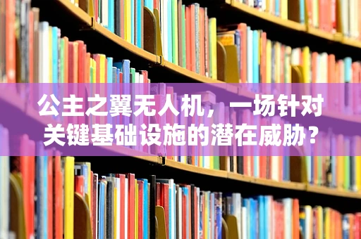 公主之翼无人机，一场针对关键基础设施的潜在威胁？