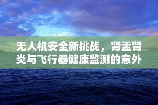 无人机安全新挑战，肾盂肾炎与飞行器健康监测的意外关联