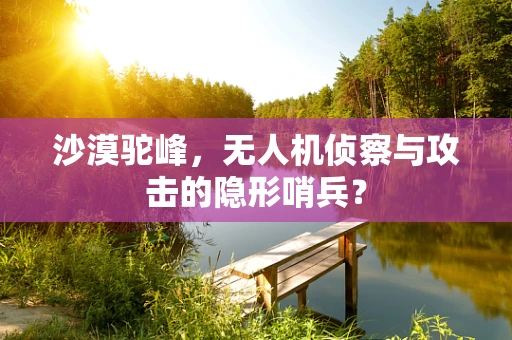 沙漠驼峰，无人机侦察与攻击的隐形哨兵？