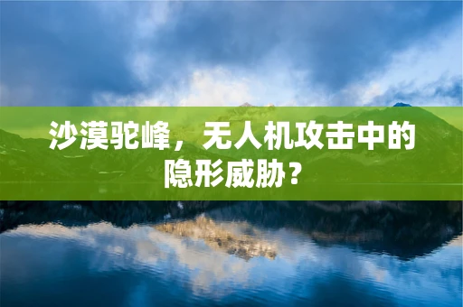 沙漠驼峰，无人机攻击中的隐形威胁？