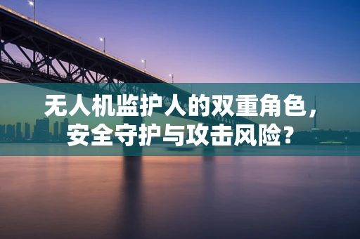 无人机监护人的双重角色，安全守护与攻击风险？