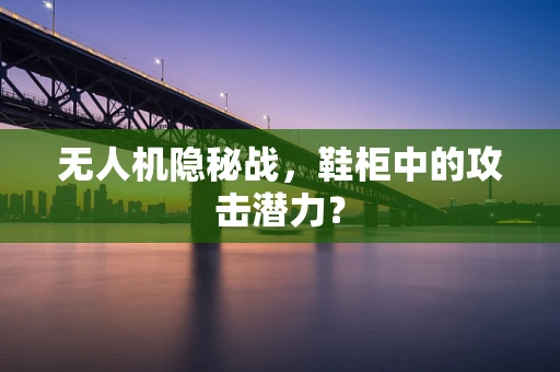 无人机隐秘战，鞋柜中的攻击潜力？