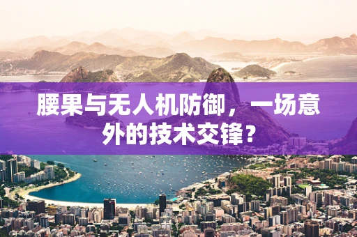 腰果与无人机防御，一场意外的技术交锋？