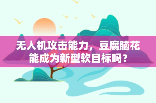 无人机攻击能力，豆腐脑花能成为新型软目标吗？