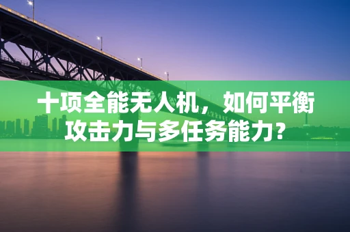 十项全能无人机，如何平衡攻击力与多任务能力？