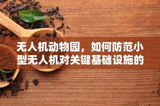 无人机动物园，如何防范小型无人机对关键基础设施的潜在威胁？