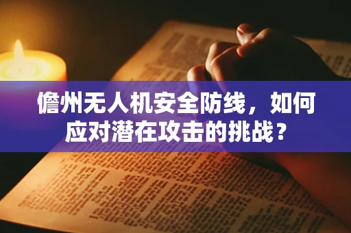 儋州无人机安全防线，如何应对潜在攻击的挑战？