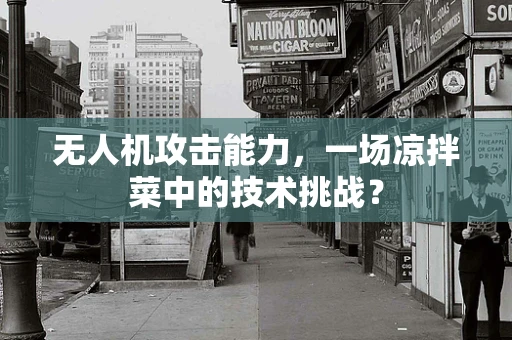 无人机攻击能力，一场凉拌菜中的技术挑战？