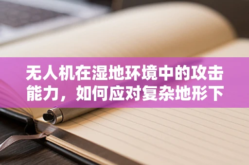 无人机在湿地环境中的攻击能力，如何应对复杂地形下的安全威胁？