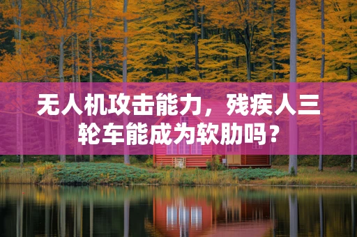 无人机攻击能力，残疾人三轮车能成为软肋吗？