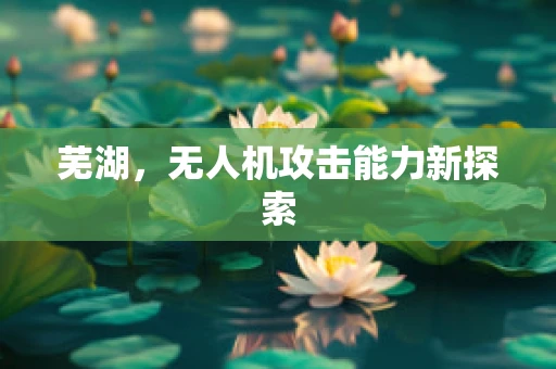 芜湖，无人机攻击能力新探索