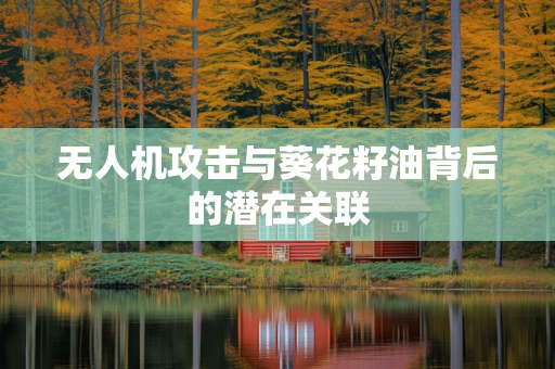 无人机攻击与葵花籽油背后的潜在关联